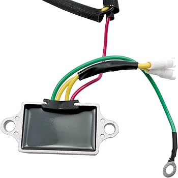 Amazon.com: Voltage Regulator with Harness E S Series 127